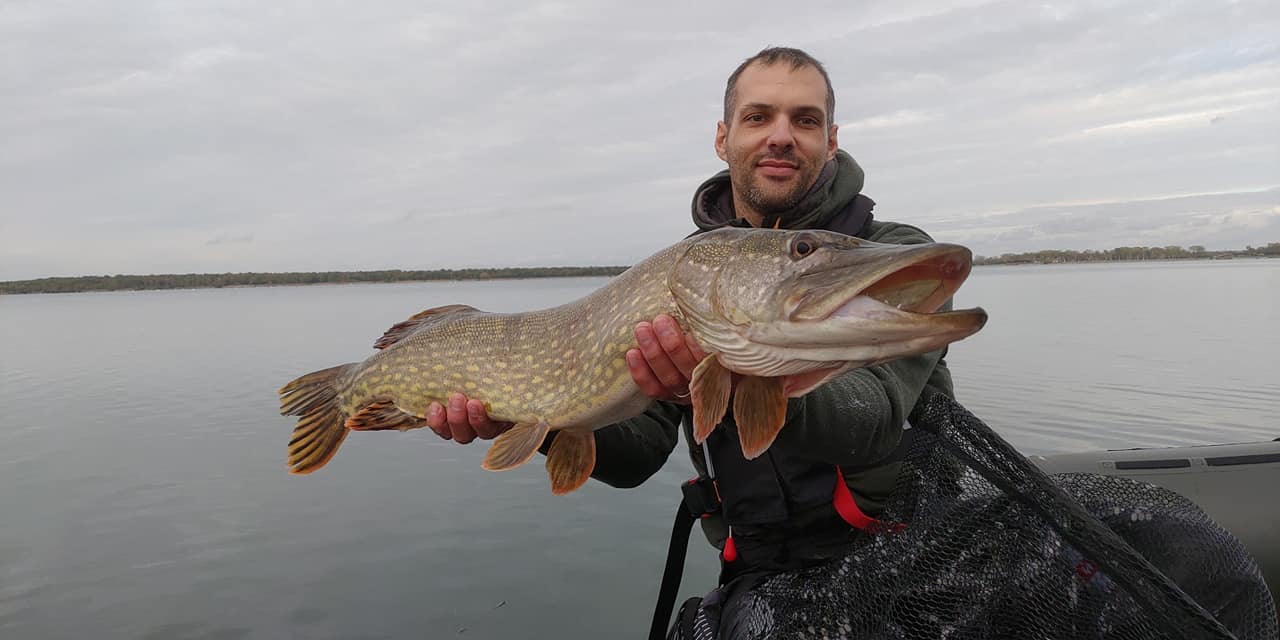 Brochet trophée tenu fièrement par un pêcheur après une capture réussie